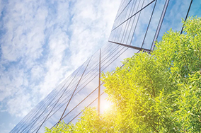 Corporate Citizenship
