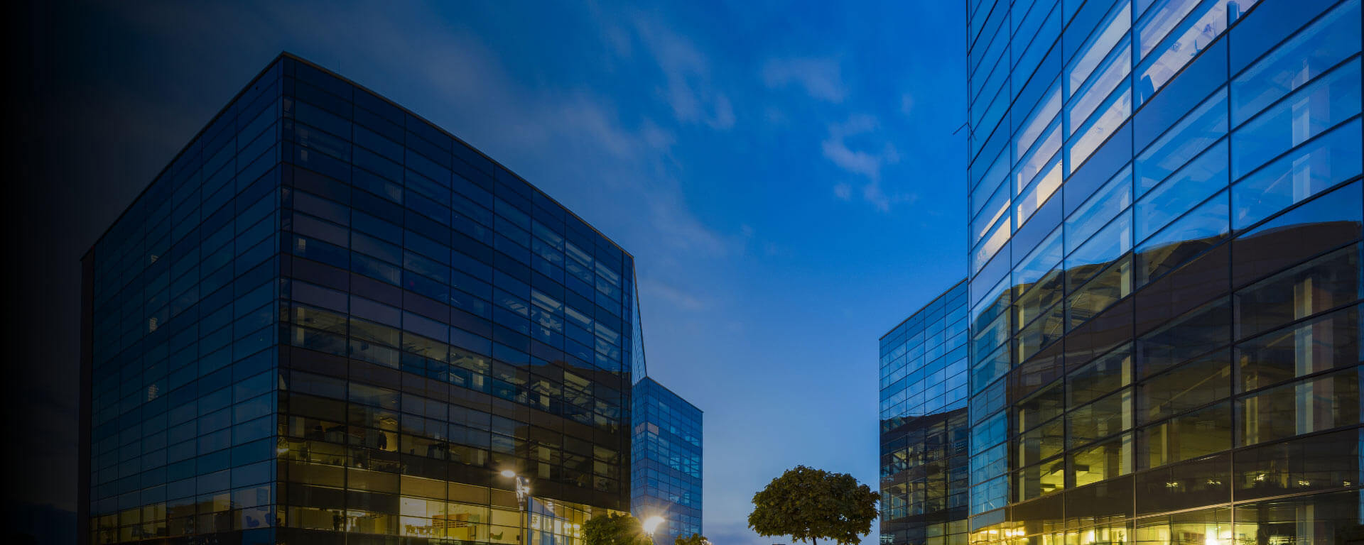 PAVA, BMS, Security and Fire Safety Solutions